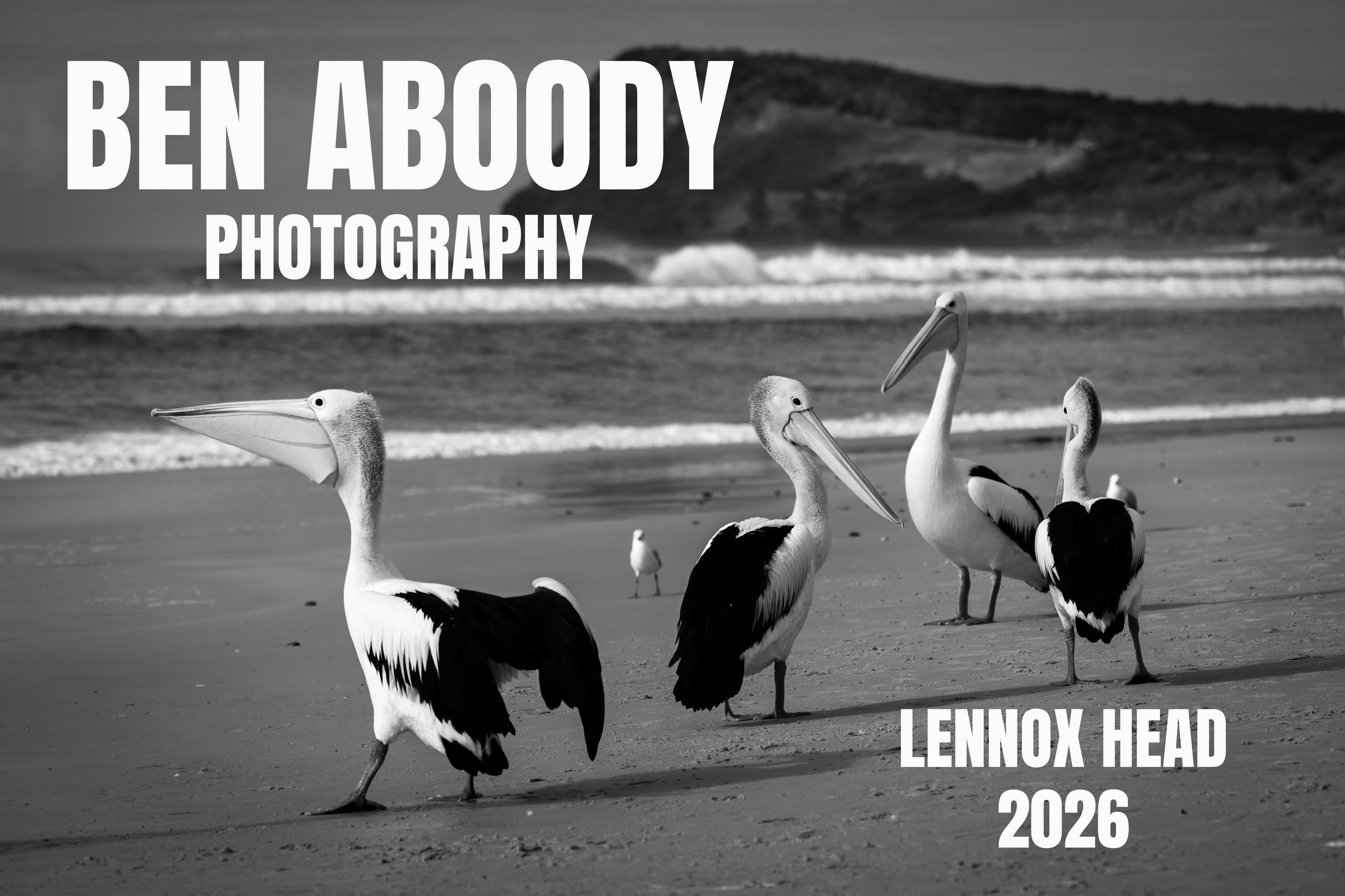 2026 Lennox Head Wall Calendar