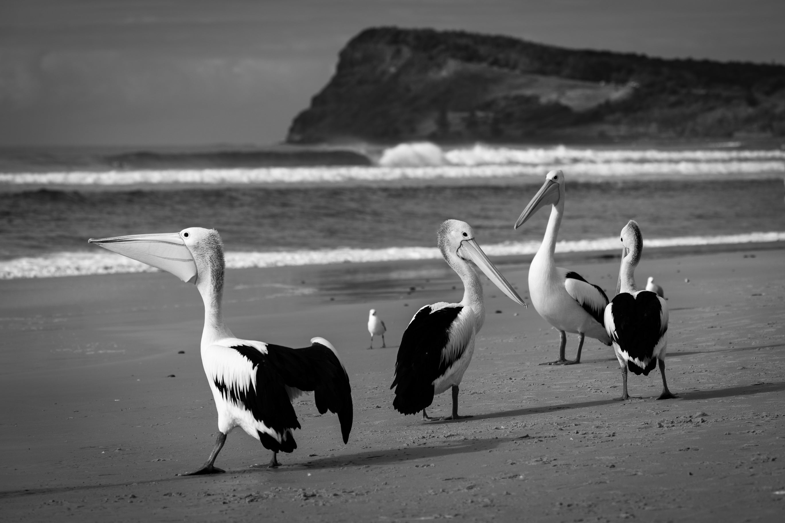 2026 Lennox Head Wall Calendar