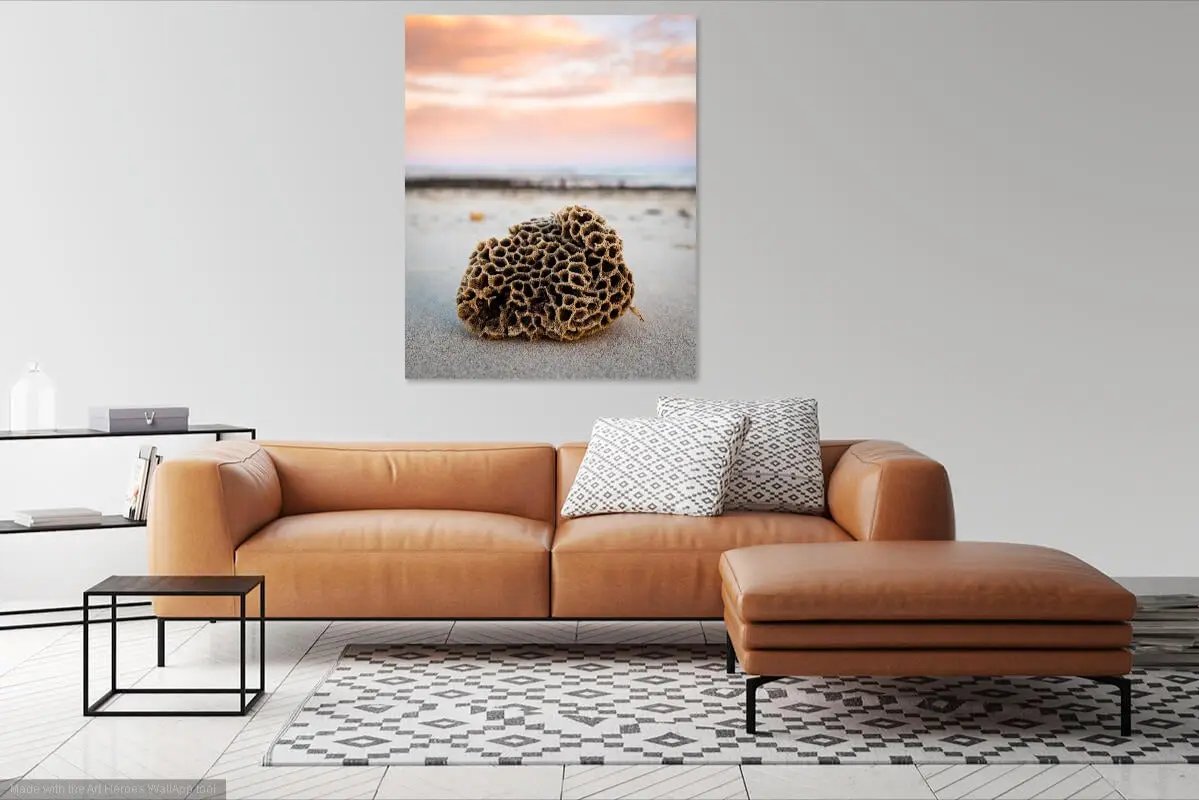 Honey Comb Coral wall art in a styled living area