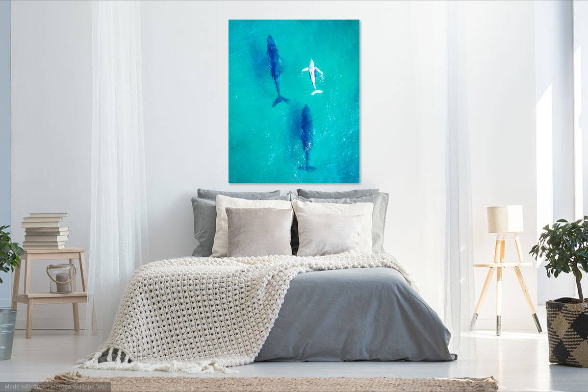 Modern bedroom with a bed, decorative pillows, and a Whale print on the wall.