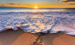 Scarborough Beach