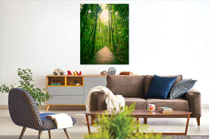 Rainforest Walk wall art