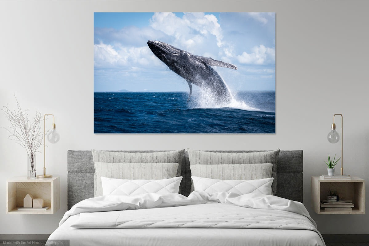 Humpback Whale Takeoff wall art