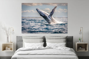 Humpback Breach wall art