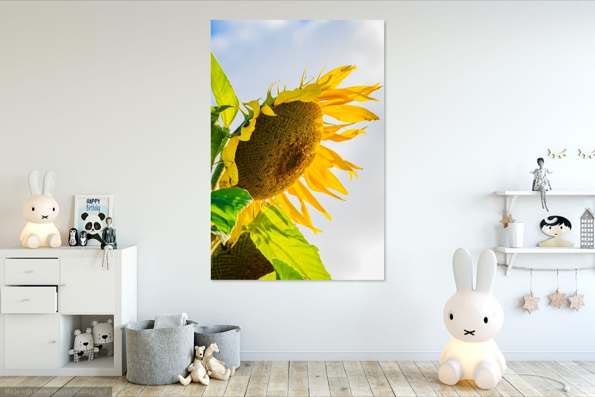 Sun Flower wall art