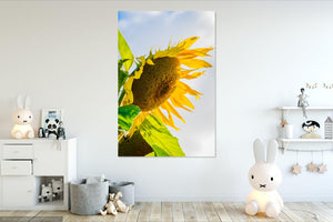 Sun Flower wall art