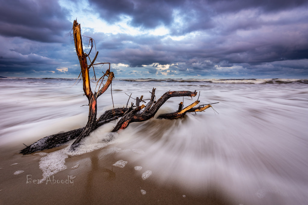 Lennox Beach Logs - Ben Aboody Photography