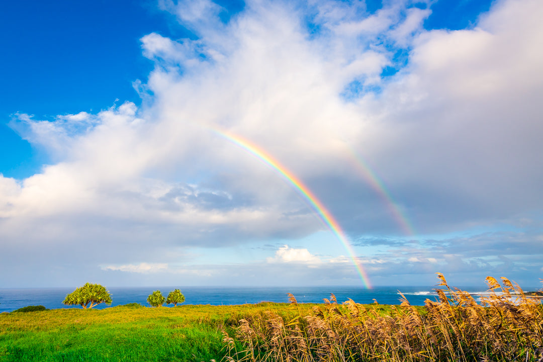 Double Rainbow