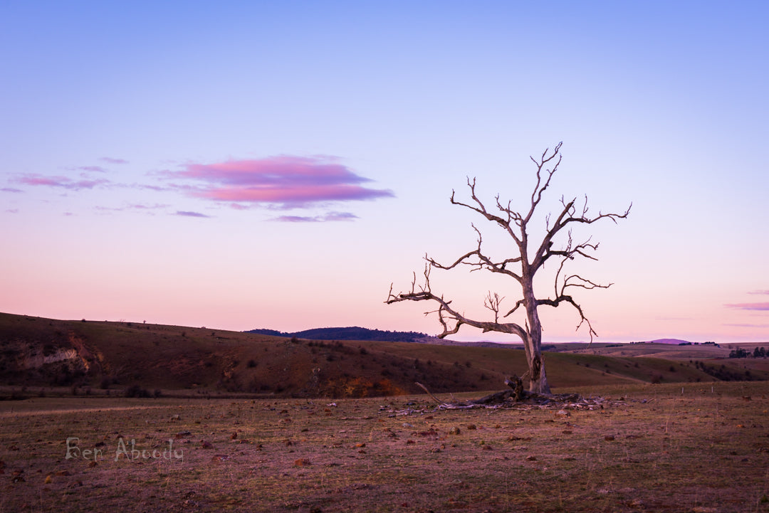 Jindabyne Winter Landscape