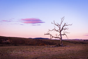 Jindabyne Winter Landscape