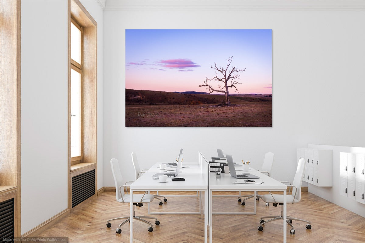 Jindabyne Winter Landscape wall image