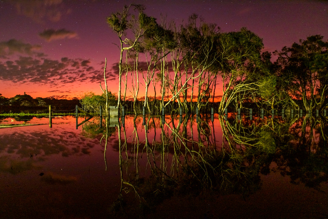 Lake Ainsworth Reflections