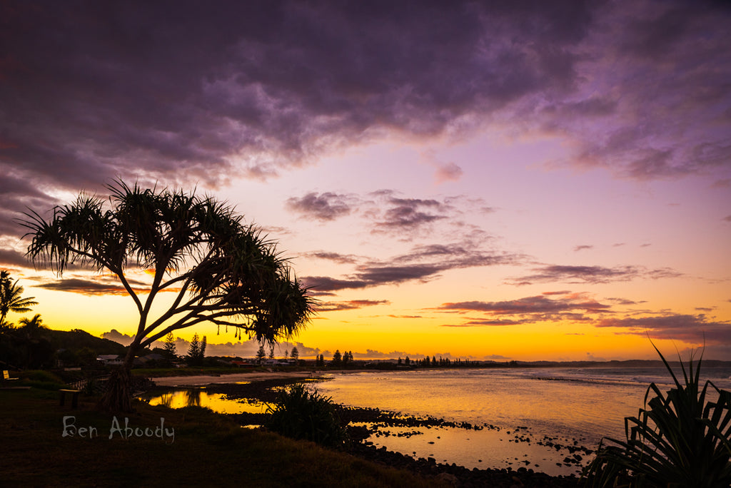 Pandanus Sunset Lennox Head