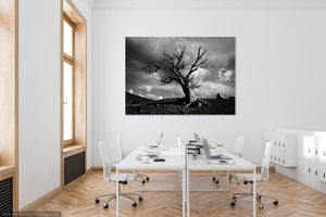 The Ghost Tree, Jindabyne. - Ben Aboody Photography
