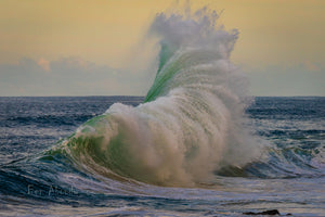 The Force Of Nature - Ben Aboody Photography